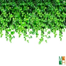  Tranh dán tường cho phòng khách đẹp tại Hà Nội NA - 068