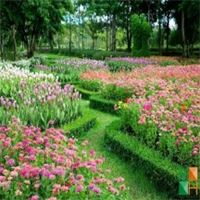 Tranh dán tường cho phòng khách đẹp tại Hà Nội NA - 218