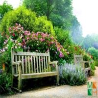 Tranh dán tường cho phòng khách đẹp tại Hà Nội NA - 220