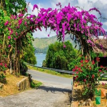 Tranh dán tường cho phòng khách đẹp tại Hà Nội NA - 224