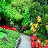 Tranh dán tường cho phòng khách đẹp tại Hà Nội NA - 227