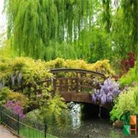 Tranh dán tường cho phòng khách đẹp tại Hà Nội NA - 231