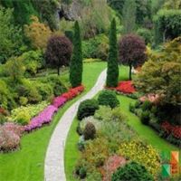 Tranh dán tường cho phòng khách đẹp tại Hà Nội NA - 233