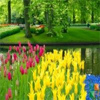 Tranh dán tường cho phòng khách đẹp tại Hà Nội NA - 236