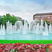 Tranh dán tường cho phòng khách đẹp tại Hà Nội NA - 240