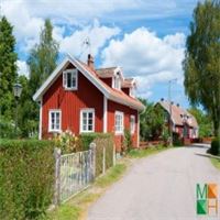 Tranh dán tường cho phòng khách đẹp tại Hà Nội NA - 244