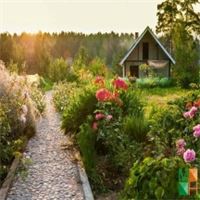 Tranh dán tường cho phòng khách đẹp tại Hà Nội NA - 245