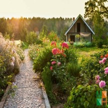  Tranh dán tường cho phòng khách đẹp tại Hà Nội NA - 245