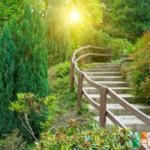 Tranh dán tường Hàn Quốc 3d khổ lớn tại Hà Nội NA - 187