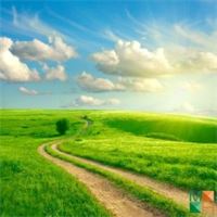 Tranh dán tường cho phòng khách đẹp tại Hà Nội NA - 261