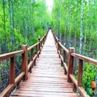 Tranh dán tường Hàn Quốc 3d khổ lớn tại Hà Nội NA - 188