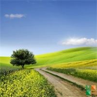 Tranh dán tường cho phòng khách đẹp tại Hà Nội NA - 265