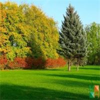 Tranh dán tường cho phòng khách đẹp tại Hà Nội NA - 408