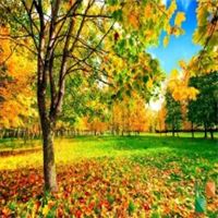 Tranh dán tường cho phòng khách đẹp tại Hà Nội NA - 409