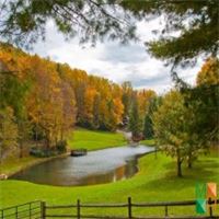 Tranh dán tường cho phòng khách đẹp tại Hà Nội NA - 411