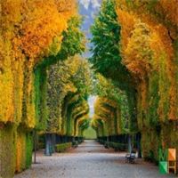 Tranh dán tường cho phòng khách đẹp tại Hà Nội NA - 414