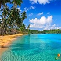 Tranh dán tường 3d đẹp cho phòng khách BE - 014