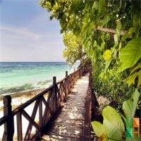 Tranh dán tường Hàn Quốc 3d khổ lớn tại Hà Nội NA - 215