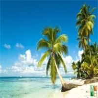 Tranh dán tường 3d đẹp cho phòng khách BE - 031