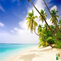 Tranh dán tường 3d đẹp cho phòng khách BE - 032