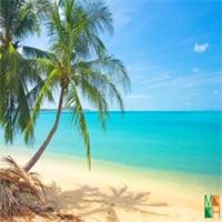 Tranh dán tường 3d đẹp cho phòng khách BE - 035