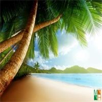 Tranh dán tường 3d đẹp cho phòng khách BE - 055