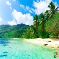 Tranh dán tường trang trí phòng khách BE - 121