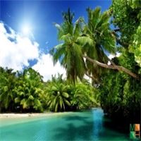 Tranh dán tường trang trí phòng khách BE - 139