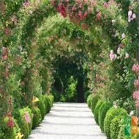 Tranh dán tường Hàn Quốc 3d khổ lớn tại Hà Nội NA - 225