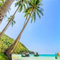 Tranh dán tường trang trí phòng khách BE - 183