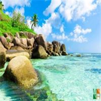 Tranh dán tường trang trí phòng khách BE - 248