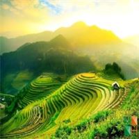 Tranh dán tường phòng khách đẹp tại Hà Nội NA - 390 