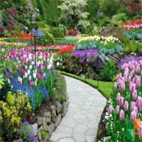 Tranh dán tường Hàn Quốc 3d khổ lớn tại Hà Nội NA - 235