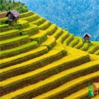 Tranh dán tường Hàn Quốc đẹp cho phòng khách NA - 391