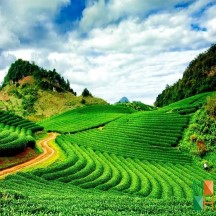  Tranh dán tường Hàn Quốc đẹp cho phòng khách NA - 392