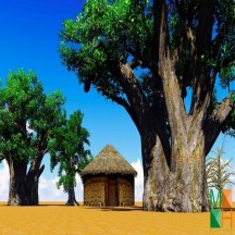  Tranh dán tường phòng khách Hàn Quốc đẹp NA - 396