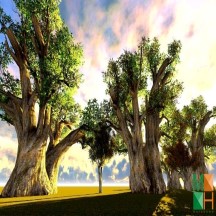  Tranh dán tường phòng khách Hàn Quốc đẹp NA - 397