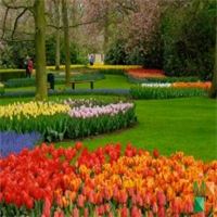 Tranh dán tường Hàn Quốc 3d khổ lớn tại Hà Nội NA - 243