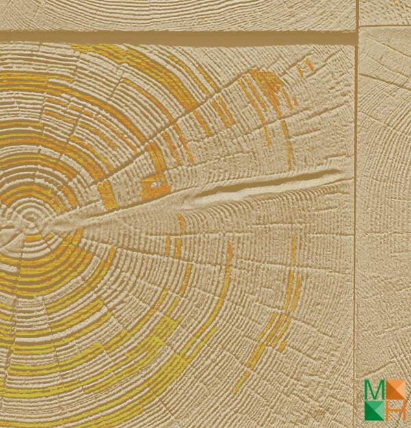 Giấy dán tường họa tiết vân gỗ tại Dương Nội, Hà Đông, Hà Nội 87006-2