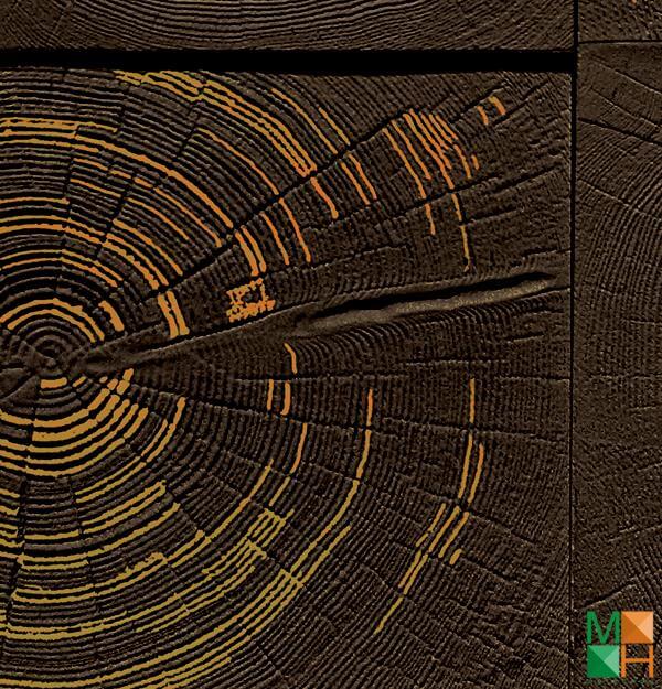 Giấy dán tường họa tiết vân gỗ tại Biên Giang, Hà Đông, Hà Nội 87006-3