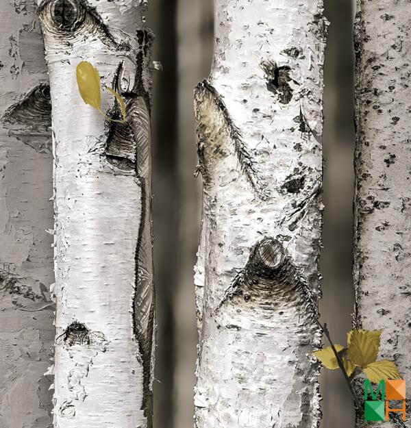 Giấy dán tường họa tiết thân cây độc đáo tại Yết Kiêu, Hà Đông, Hà Nội 87009-1