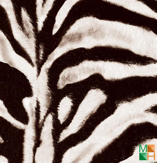 Giấy dán tường họa tiết thảm lông động vật tại Vạn Phúc, Hà Đông, Hà Nội 87010-1