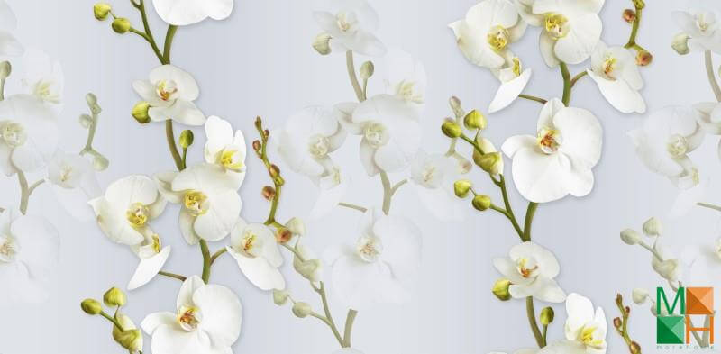 Giấy dán tường họa tiết hoa lá thi công tại Hoàng Liệt, Hoàng Mai, Hà Nội 88102-3