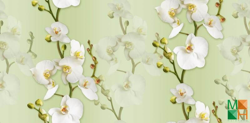 Giấy dán tường họa tiết hoa lá thi công tại Hoàng Văn Thụ, Hoàng Mai, Hà Nội 88102-4