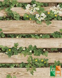 Giấy dán tường vân gỗ thiên nhiên 87020-2