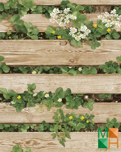 Giấy dán tường vân gỗ thiên nhiên 87020-2