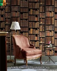 Giấy dán tường 3D họa tiết giá sách thư viện Harry Potter 88418