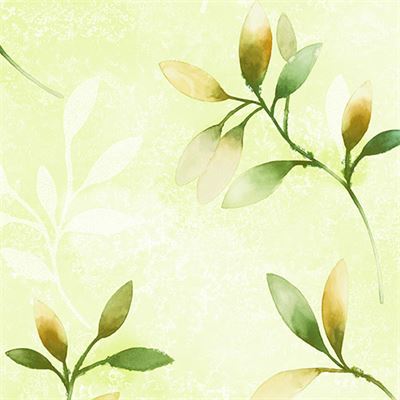 Mẫu giấy dán tường Hàn Quốc EROOM mới nhất