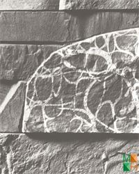 Giấy dán tường giả đá 87015-1