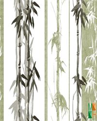 Giấy dán tường họa tiết hoa lá 19901-1